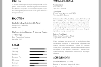 do professional resume and CV design for job application