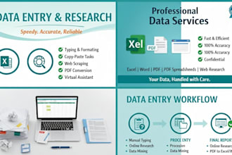 do accurate excel data entry and spreadsheet work