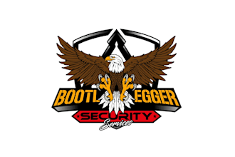 create attractive and imagination eagle logo design