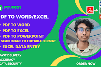 do fast typing job, PDF and scan image to typing, data entry, web research