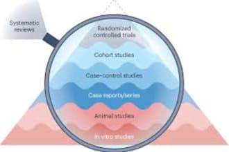 write retrospective study, cross sectional study and randomized controlled trial