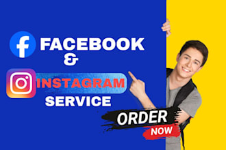 setup and manage facebook ads, conversion with  fb pixel, meta ads campaign