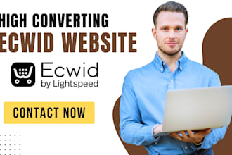 build professional ecwid store, redesign ecwid website, SEO and product upload