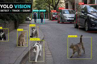 build custom yolo object detection tracking and counting in python