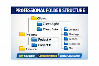 organize, clean and structure your google drive professionally