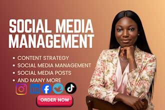 social media manager content creator