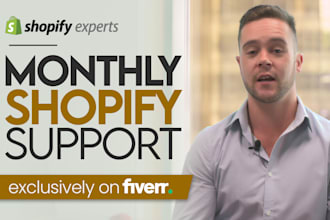 provide monthly shopify priority support and maintenance