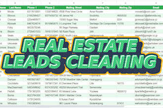 clean and format your real estate leads for any CRM or dialer