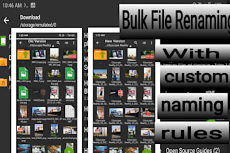 batch rename and organize your files with custom naming rules