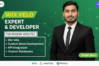 be a wix velo developer for store, bug fixes, custom code, and wix velo website