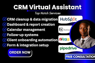 executive virtual assistant va salesforce hubspot zoho pipedrive dubsado notion