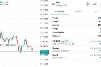 forex bot forex bot trading bot forex trading bot forex robot forex bot