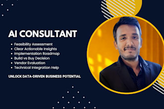 provide professional ai consultancy with a clear roadmap