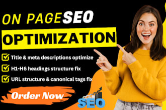 do complete onpage SEO optimization for wordpress or any website