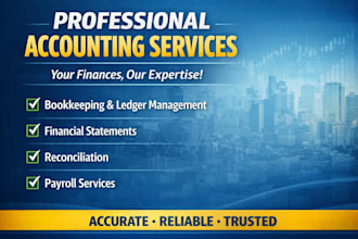 provide professional accounting and bookkeeping services