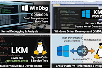 develop windows and linux kernel drivers for you