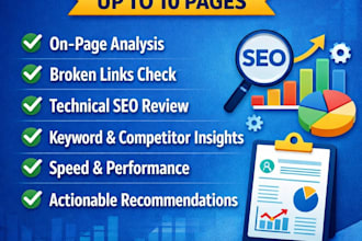 provide detailed SEO audit report for wordpress websites