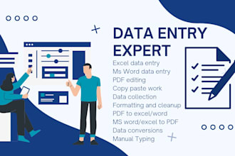 accurate data entry and excel data cleanup