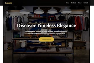 develop a professional responsive website for your business