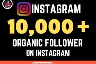 get 1000 organic instagram followers
