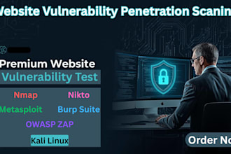 perform professional website vulnerability scan