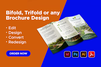 design any trifold or bifold brochure in adobe indesign and illustrator