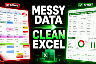 format and organize messy excel or CSV data professionally