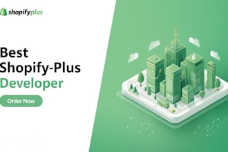 shopify plus developer b2b speed optimization shopify cro website design