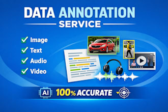 do manual data annotation with high accuracy