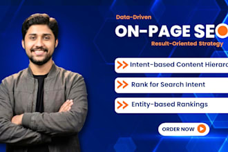 your monthly on page SEO partner for your long term growth