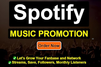 do spotify music track promotion