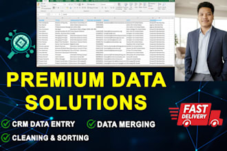 do CRM data entry lead management and database cleanup
