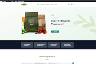 create a professional ecommerce store using wordpress