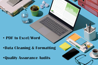 provide expert data entry, manual audit, and document organization