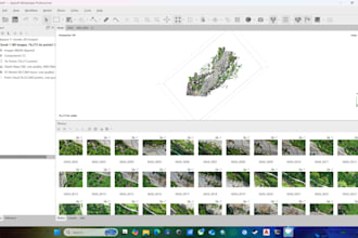 do drone mapping, orthophoto, contour, and gis analysis