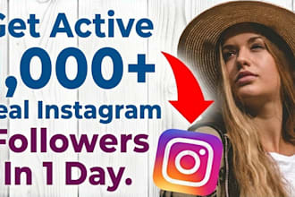 provide 1,000 instagram followers fast