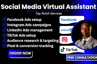 facebook instagram linkedin tiktok ads social media executive virtual assistant