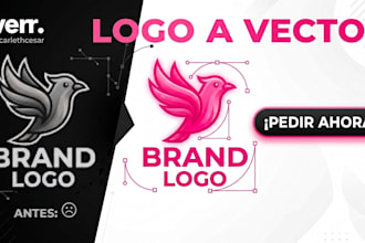 convertir imagen y logotipos a vector