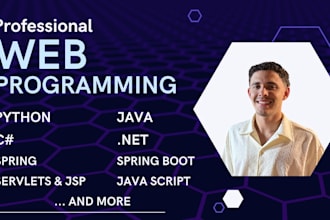 do professional web programming