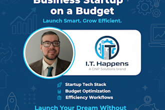 provide business startup technology consulting