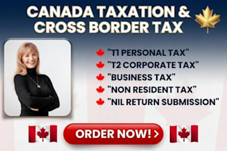 provide expert cross border canada and US tax filing for non residents