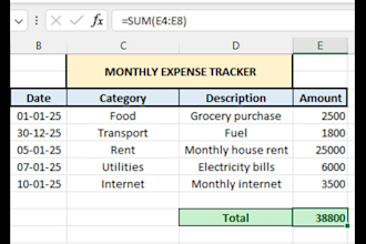 create a professional excel expense tracker and budget sheet