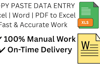 do data entry, excel work and tally accounting accurately