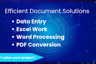 do excel entry and word formatting