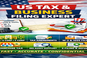 file US business and individual tax returns, 1120, 1120s, llc, w2 and 1099