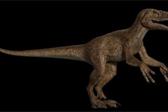 sculpt 3d animal creature, dragon anatomy, 3d printing, stl animal character