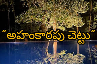 do professional telugu voice over for your stories and ads