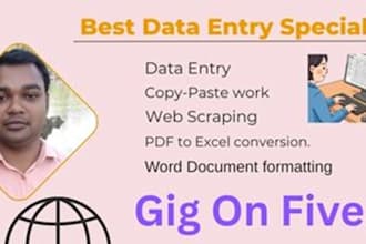 provide data entry, word document formatting, copy paste, web scraping
