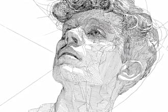 line drawing and vector line art illustration