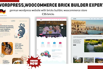 german wordpress website with bricks builder, woocommerce store CSS bricks